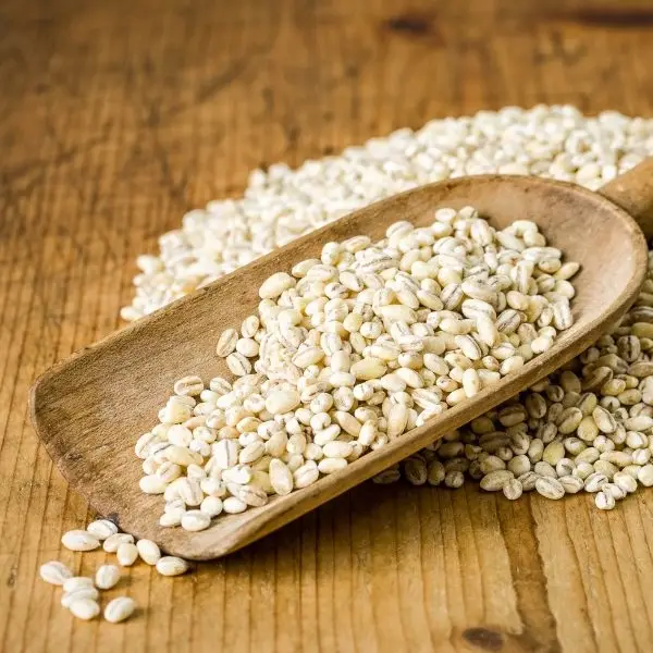 Barley