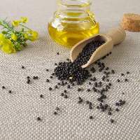 Premium Rapeseed Canola Cooking Oil 