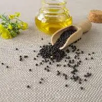 Premium Rapeseed Canola Cooking Oil 