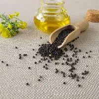 Rapeseed Oil (Canola)