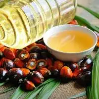 Premium Quality Crude Palm Oil CPO 
