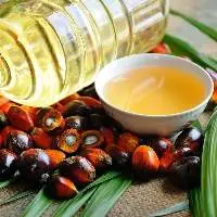 Crude Palm Oil (CPO)