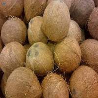 Fully Husked Coconuts