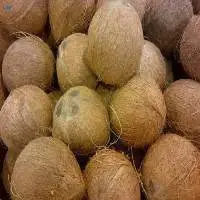 Fully Husked Coconuts