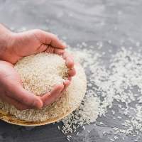 Premium Quality Indian Non-Basmati Rice