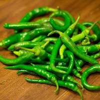 Premium Fresh Green Chili (Export Quality)