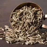 Premium Indian Cumin Seeds (Jeera) 