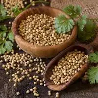 Premium Indian Coriander Seeds (Dhaniya)