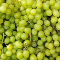Premium Fresh Green Grapes Export Quality