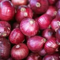 Premium Fresh Nashik Red Onion Export Quality