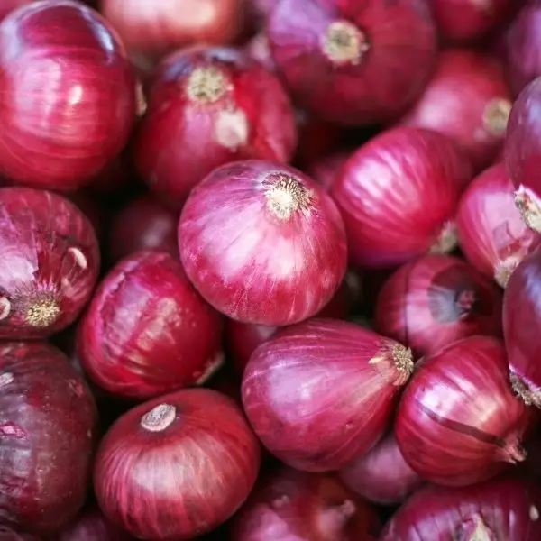 Premium Fresh Nashik Red Onion Export Quality