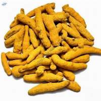 Whole Turmeric Finger