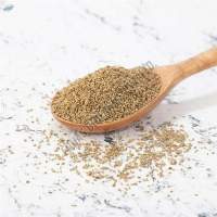 Export Quality Aromatic Ajwain Seeds
