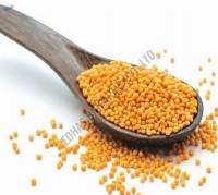 Big Sortex Mustard Seeds