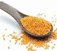 Big Sortex Mustard Seeds