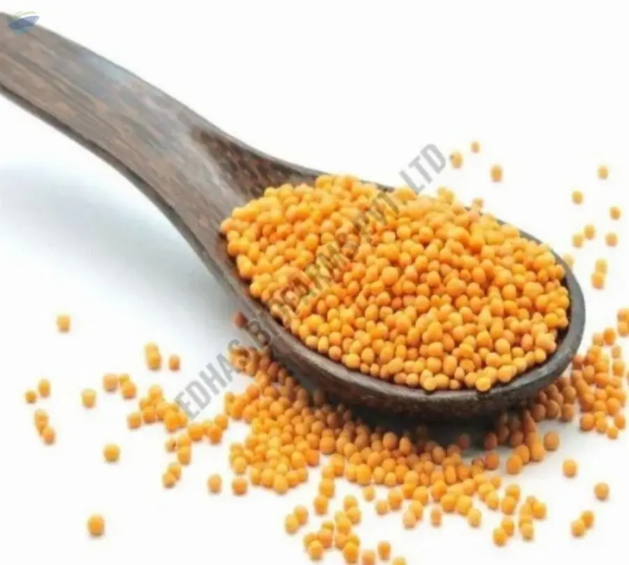 Big Sortex Mustard Seeds