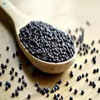 Grade A Premium Grade Black Mustard Seeds 