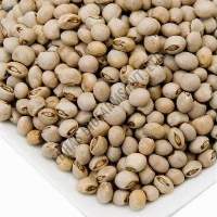 Pigeon Peas