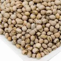 Pigeon Peas