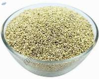 Grade A Export Grade Quinoa Seeds Product