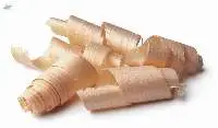 Premium Quality Wood Chips Export Grade