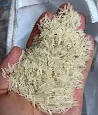 1121 Sella Rice