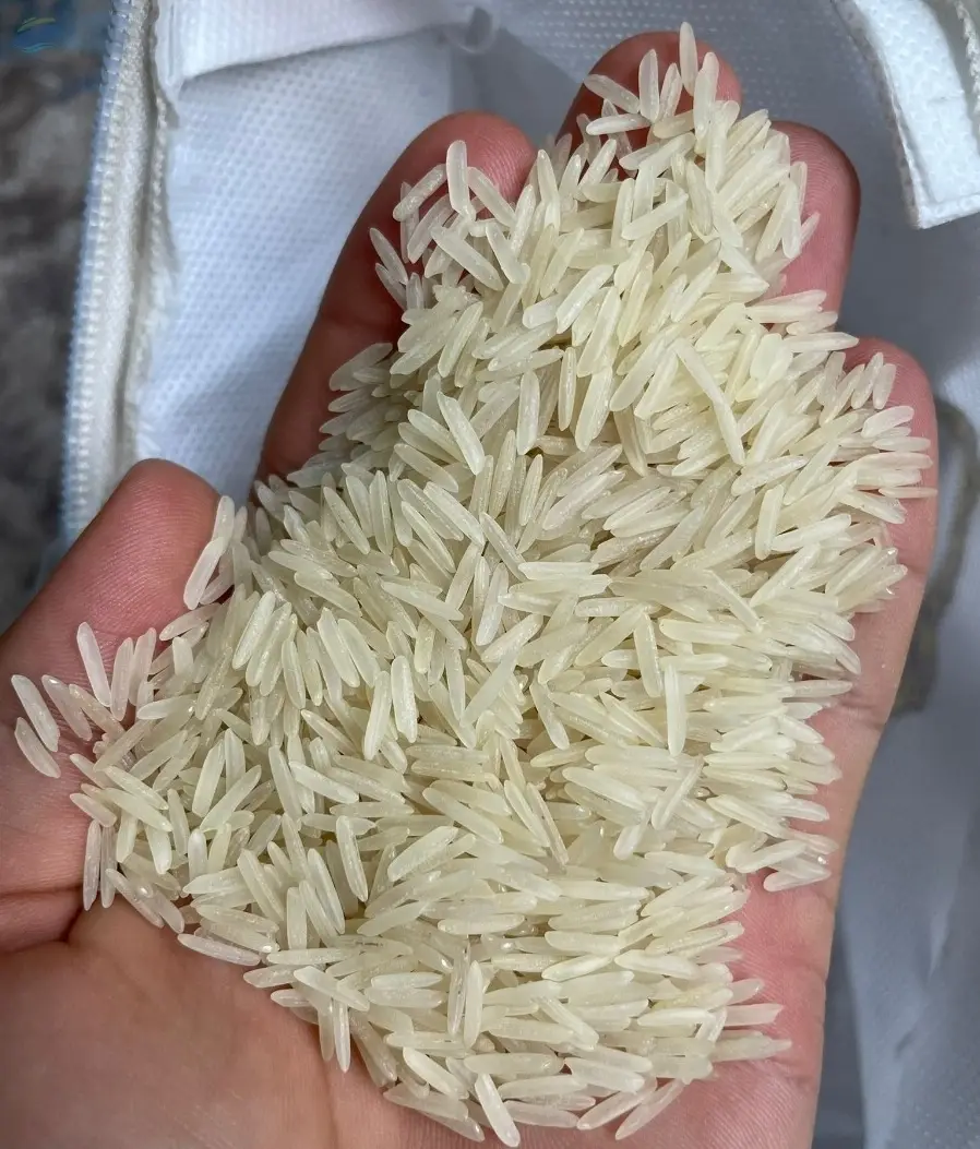 1121 Sella Rice