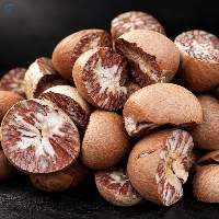 Premium Indonesian Betel Nut or Areca Nut