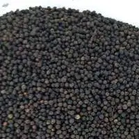 Black Peppercorns from Brazil ASTA, B1 and B2