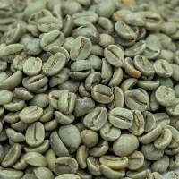 Green Coffee Beans Robusta