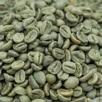 Green Coffee Beans Robusta