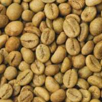 Robusta S16/18 Clean Grade 1