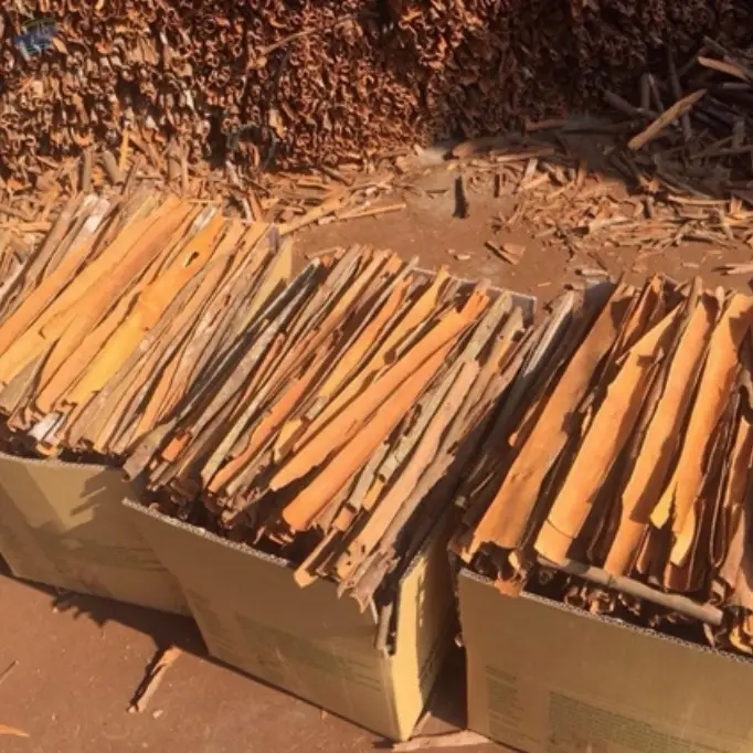 Cinnamon