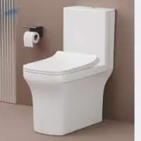 Sanitary Wares