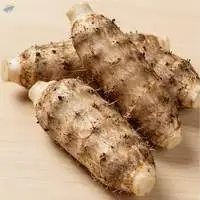 Premium Cassava