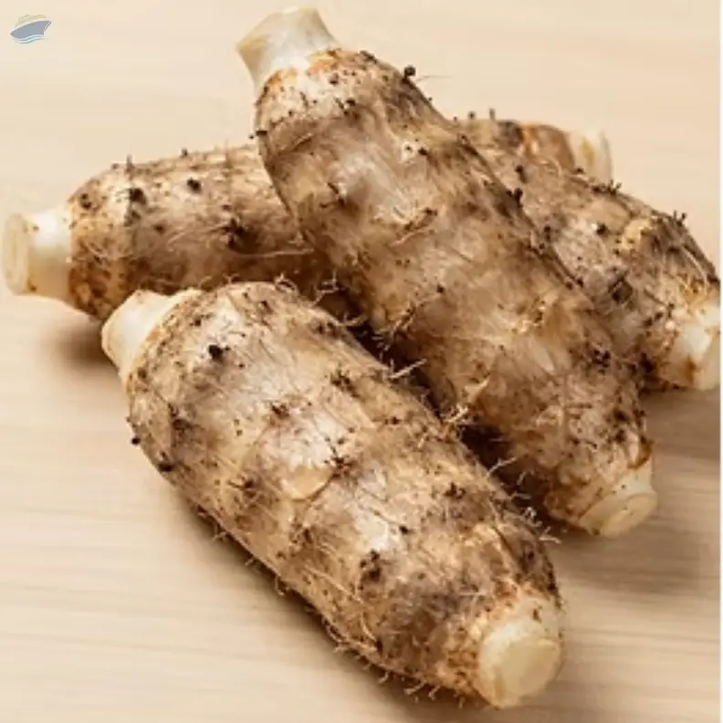 Premium Cassava