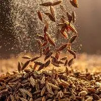 Cumin