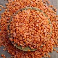 Masoor Dal