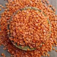Masoor Dal