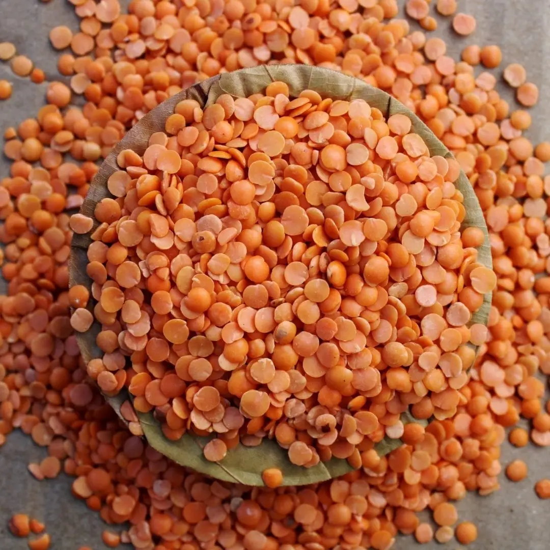 Masoor Dal
