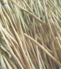 Indonesian Cinnamon / Cassia Vera (Korintjie)