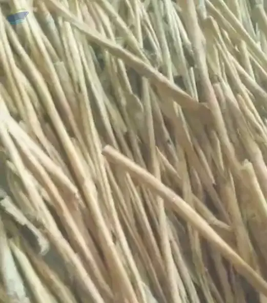 Indonesian Cinnamon / Cassia Vera (Korintjie)