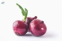 Premium Fresh Quality Indian Onions