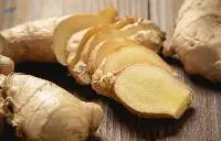 Premium Fresh Quality Indian Ginger