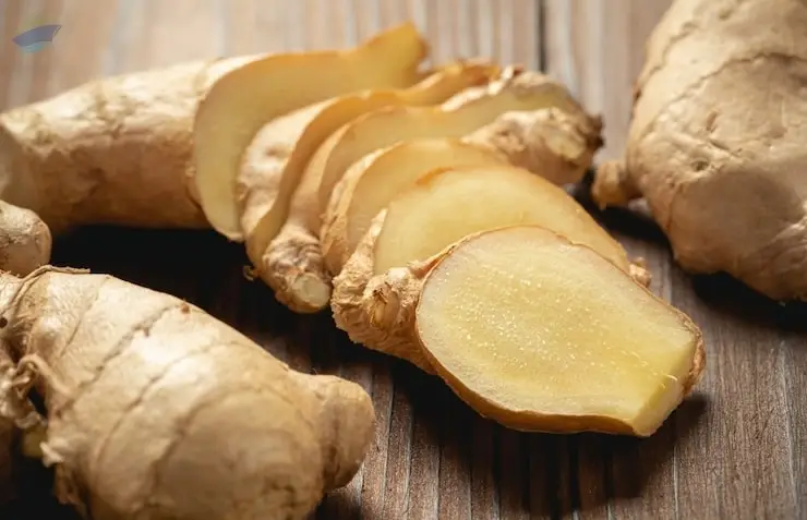 Premium Fresh Quality Indian Ginger