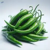 Premium Fresh Quality Green Chillies