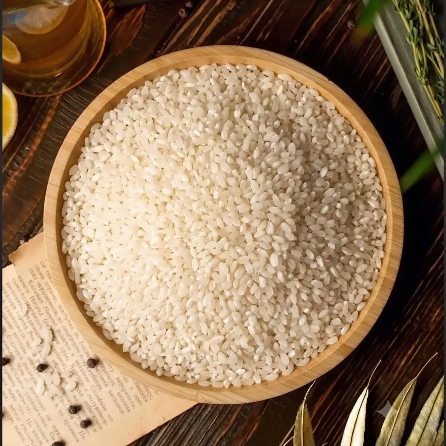 Premium Quality Export Grade Non Basmati Rice