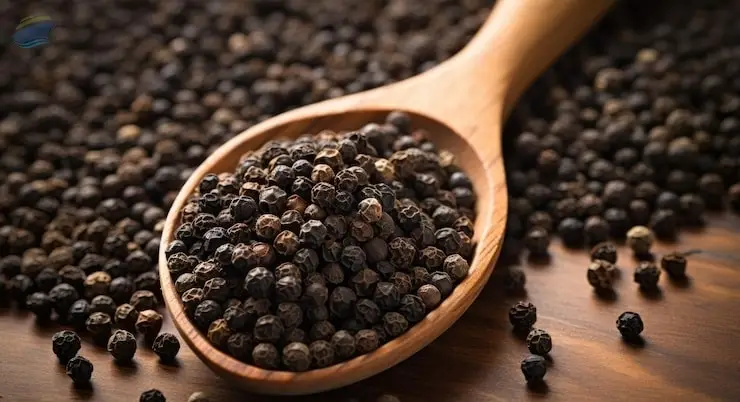 Premium Quality Indian Whole Black Pepper
