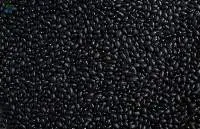 Premium Quality Indian Black Gram
