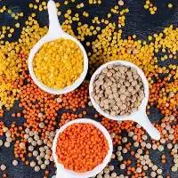 Premium Grade Indian Red Lentils
